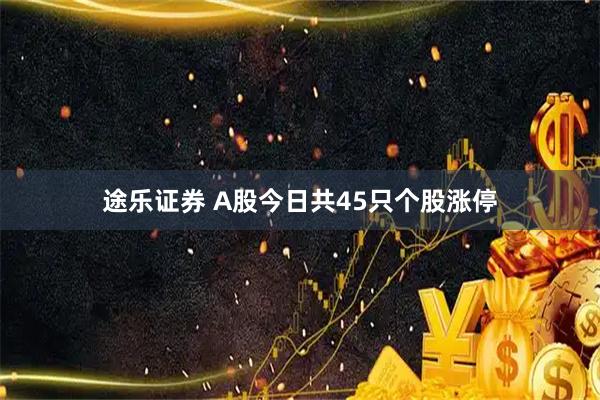 途乐证券 A股今日共45只个股涨停