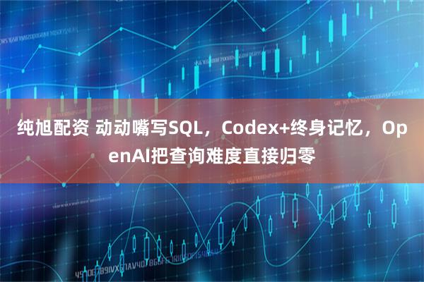 纯旭配资 动动嘴写SQL，Codex+终身记忆，OpenAI把查询难度直接归零