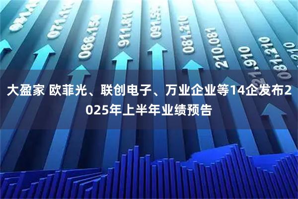 大盈家 欧菲光、联创电子、万业企业等14企发布2025年上半年业绩预告