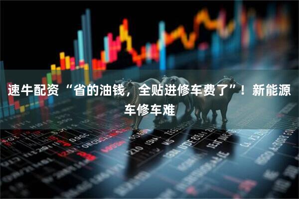 速牛配资 “省的油钱，全贴进修车费了”！新能源车修车难